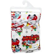 Wholesale - 30"x40" CHRISTMAS CARS PRINTED MINK BLANKET C/P 24, UPC: 887947101089
